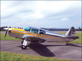Globe Swift