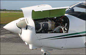 Piper Warrior