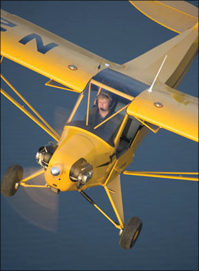 Cub Clone LSA Airplane