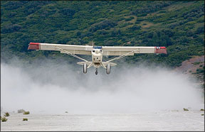 Aviat Husky