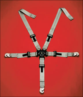 Schroth five-point Harness