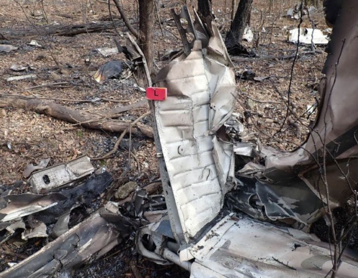Jenny Blalock's Debonair crashed in Pulaski, Tennessee